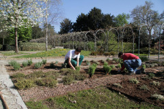 lezione di giardinaggio