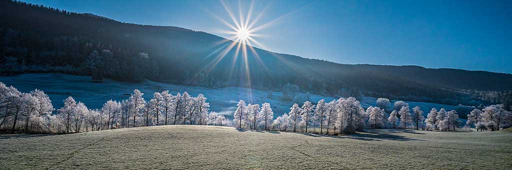 Vista panoramica invernale con alberi innevati