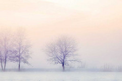 winter-landscape-2