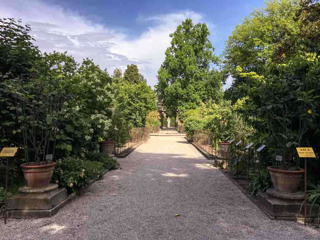 Orto-Botanico-antico-Universita-di-Padova-5_1