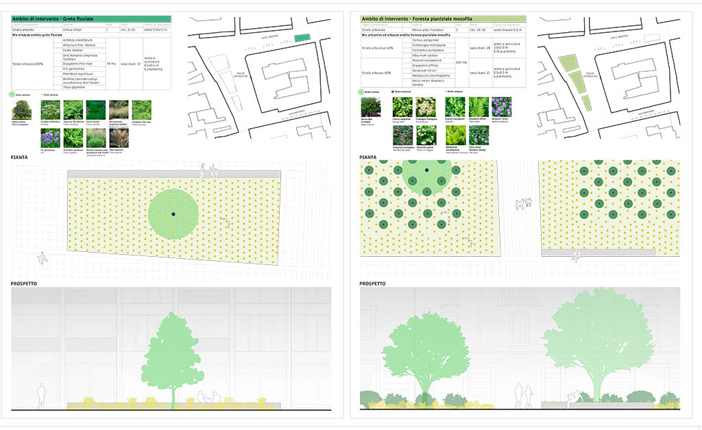Piazza Liberazione di Magenta (MI) - progetto opere a verde- courtesy Studio Buscaglia