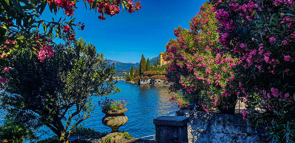 Vista panoramica di lago con Oleandri in fiore