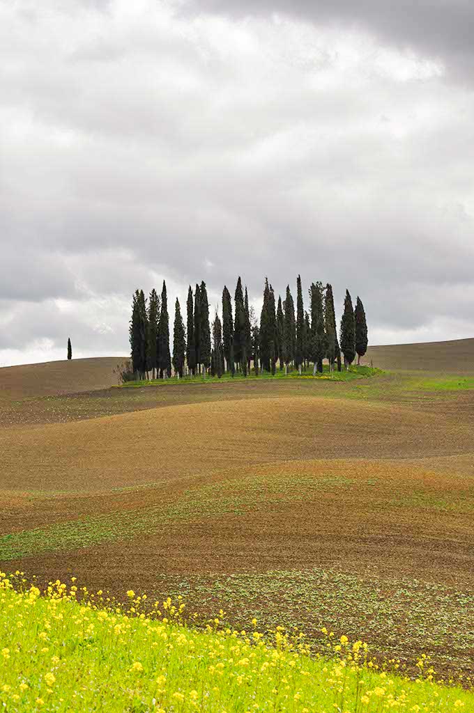 Cipresseta in Val d’Orcia © Regione Toscana