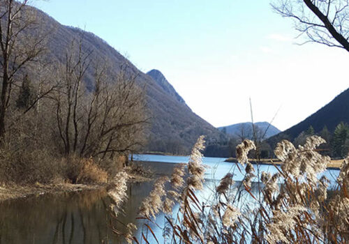 La natura che ci circonda e la nostra salute 16 Cover Lago di Ghirla VA