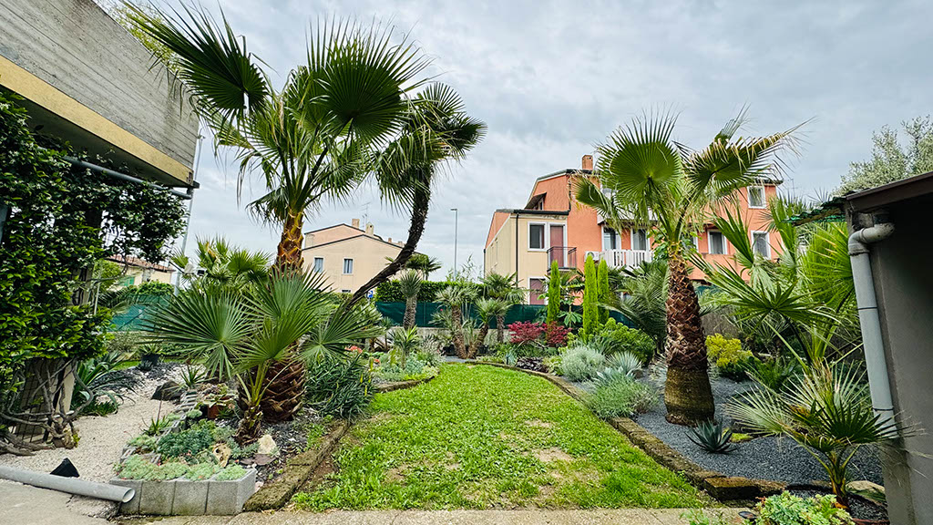 Giardino esotico di Samuele Storari , maggio 2024